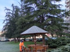 JKP „Mediana“: Planirani radovi na održavanju javnih površina u Nišu