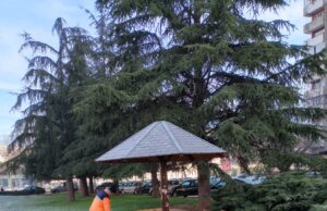 JKP „Mediana“: Planirani radovi na održavanju javnih površina u Nišu