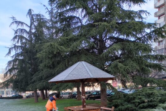 JKP „Mediana“: Planirani radovi na održavanju javnih površina u Nišu