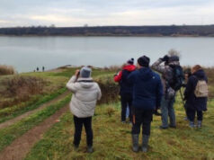 Prijavite se za obuke za Međunarodni zimski popis ptica vodenih staništa! Obuke za Međunarodni zimski popis ptica vodenih staništa