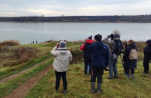 Prijavite se za obuke za Međunarodni zimski popis ptica vodenih staništa! Obuke za Međunarodni zimski popis ptica vodenih staništa