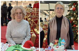 Ove torte pobedile su na Tortijadi, prihod od prodaje torti u iznosu od 68.100,00 dinara uplaćen je Fondaciji „Jedro“ Pobednice u kategorijama profesionalac i amater