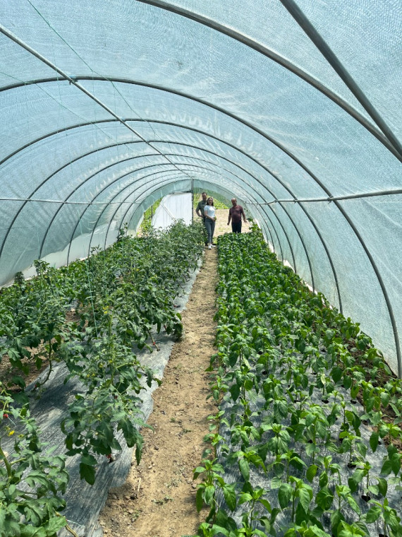 Poljoprivrednih razvojnih fondova