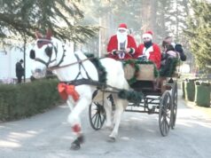 GO Crveni Krst za vikend daruje najmlađe paketićima