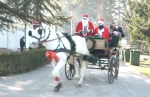 GO Crveni Krst za vikend daruje najmlađe paketićima Podelanovogodišnjih paketića Gradska Opština Crveni Krst