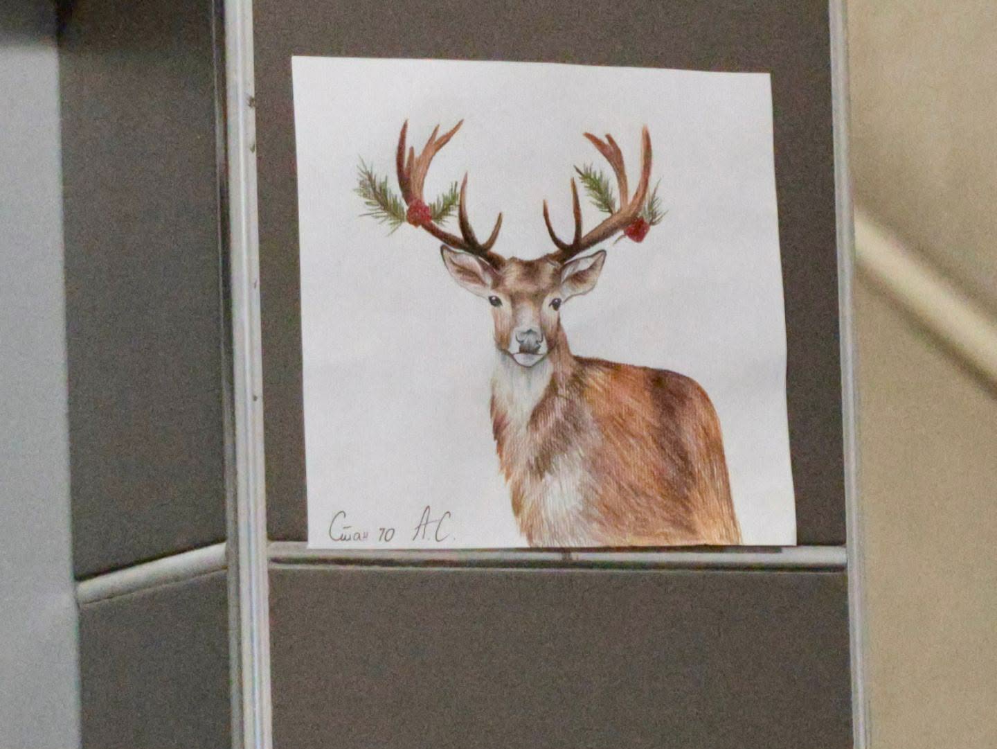 Crtež jelena - Andrea Stevanović