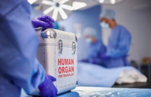 UKC Niš: Organi donora presađeni kod šestoro pacijenata, među njima i tek rođeni blizanci Donacije i transplantacije organa