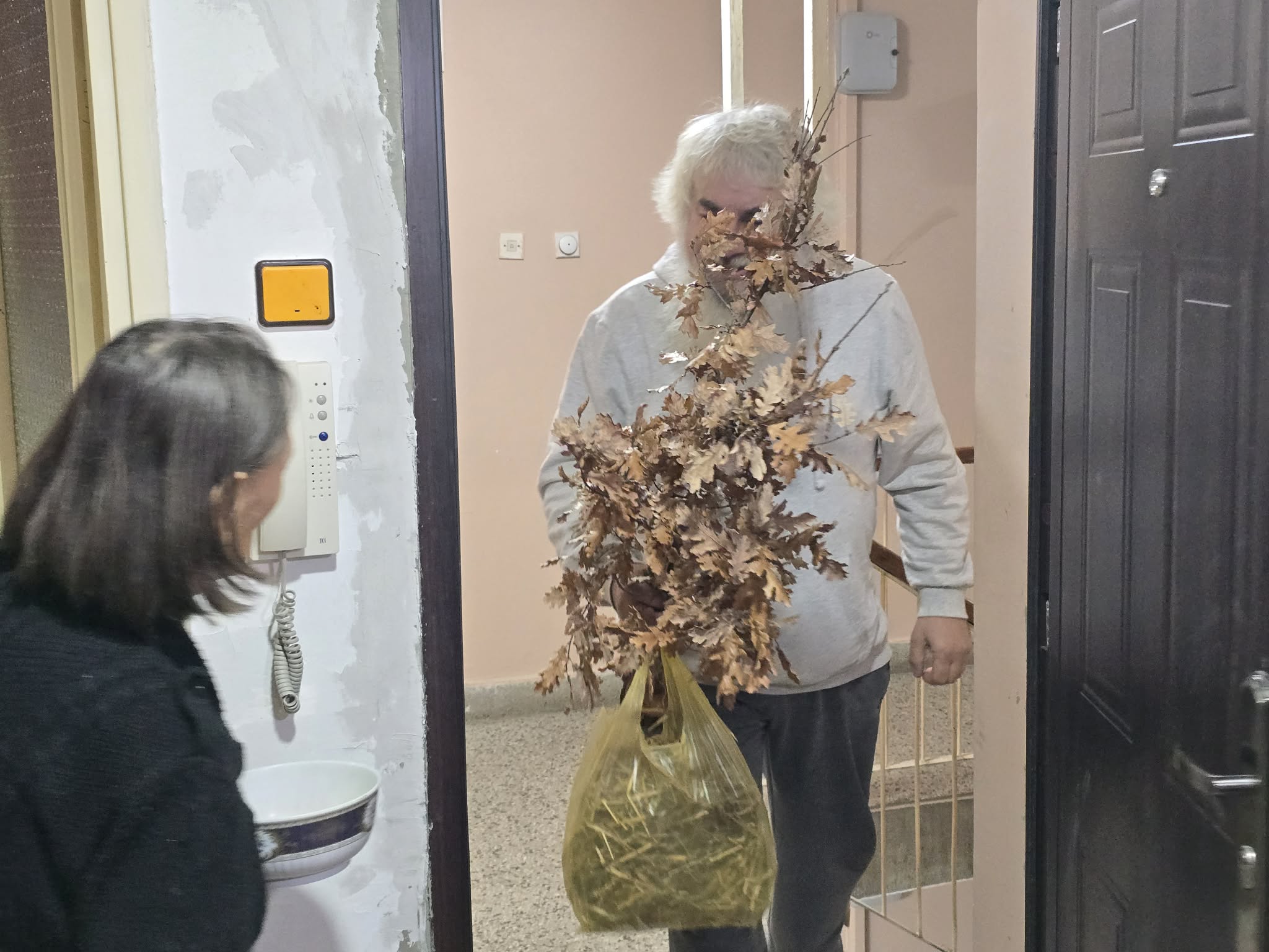 Donošenje Badnjaka i slame u porodici Jovanović - Sević