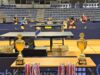 Veliko finale Trofeja Evrope u stonom tenisu u Čairu. Dva kluba predstavljaju Niš