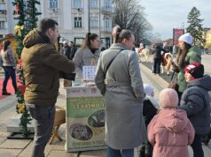 ZOO Planet prikuplja donacije kroz druženje sa konjićima i suvenire na Trgu kralja Milana