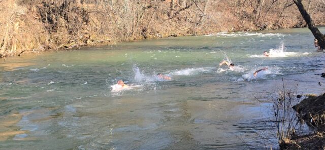 Plivanje za Časni krst na Nišavi
