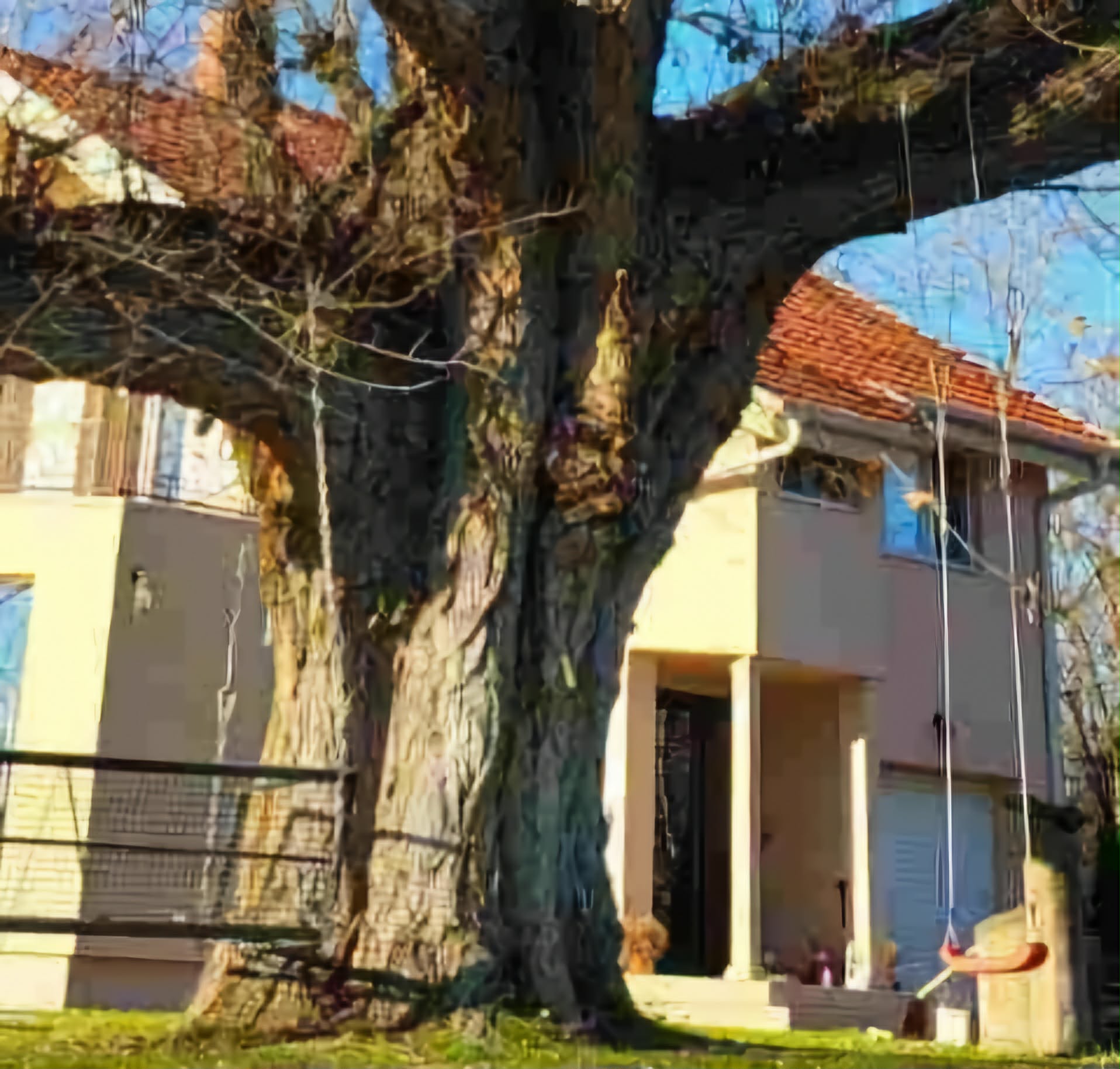 Senka Solunskog ratnika