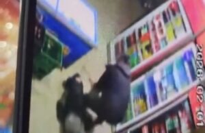 Pavlović posle sprečene pljačke: Svako od nas bi to učinio, previše je zluradih komentara Dragoslav Pavlović razoružavanje napadača