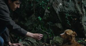 Film „Vetre, pričaj sa mnom“ Stefana Đorđevića od 12. februara u bioskopu Cine Grand Delta Planet u Nišu (VIDEO) Film Vetre, pričaj sa mnom