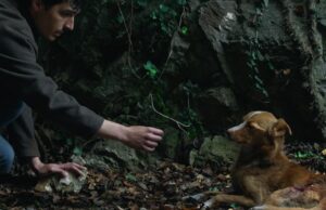 Film „Vetre, pričaj sa mnom“ Stefana Đorđevića od 12. februara u bioskopu Cine Grand Delta Planet u Nišu (VIDEO) Film Vetre, pričaj sa mnom