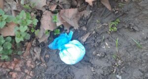 Uhapšen P. M. (2005) iz Niša, kod koga je pronađeno 51 grama kokaina Kokain