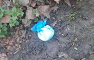 Uhapšen P. M. (2005) iz Niša, kod koga je pronađeno 51 grama kokaina Kokain