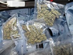 U Nišu uhapšen diler sa više od dva i po kilograma marihuane Marihuana