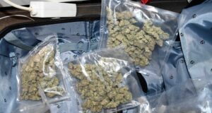 U Nišu uhapšen diler sa više od dva i po kilograma marihuane Marihuana