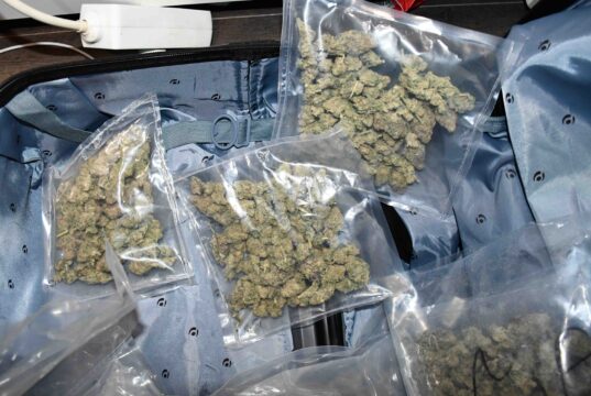 Uhapšen vozač iz Ćuprije kod Niša: Policija mu u autu pronašla više od 700 grama marihuane Marihuana