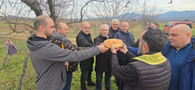 Rezanje kolača povodom Svetog Trifuna