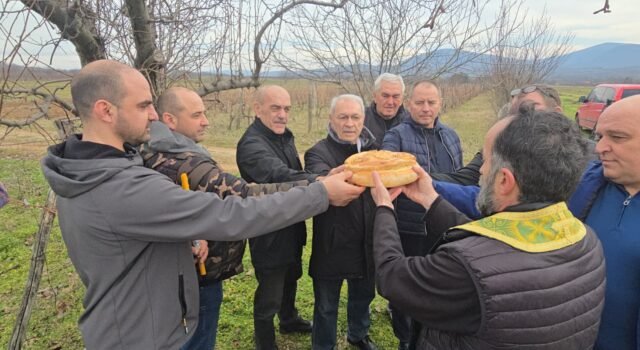Orezivanjem vinove loze Gornjotrnavci obeleželi Svetog Trifuna – zaštitnika vinogradara Rezanje kolača povodom Svetog Trifuna
