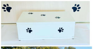 Groblje za kućne ljubimce i Aleja zaslužnih građana još uvek daleko od realizacije Sanduk za psa i Aleja zasluznih gradjana u Beogradu