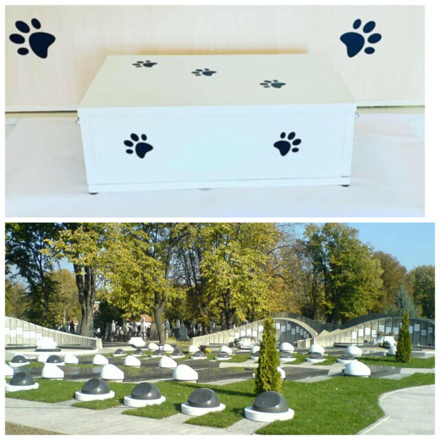 Sanduk za psa i Aleja zasluznih gradjana u Beogradu