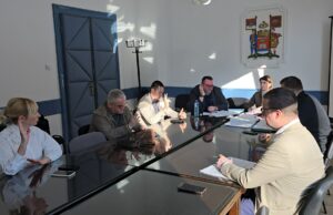 ODRŽANA SEDNICA ODBORA ZA IMENOVANJE: Predloženi novi v.d. direktori Narodnog pozorišta i Istorijskog arhiva u Nišu 8. sednica Odbora za imenovanje