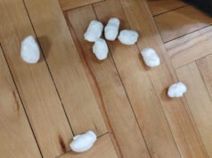 Uhapšen A. M. (1992) u čijem stanu je pronađeno 29 paketića sa oko 57 grama kokaina Kokain