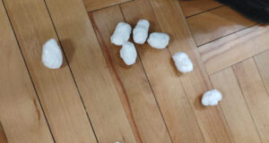 Uhapšen A. M. (1992) u čijem stanu je pronađeno 29 paketića sa oko 57 grama kokaina Kokain