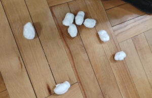 Uhapšen A. M. (1992) u čijem stanu je pronađeno 29 paketića sa oko 57 grama kokaina Kokain