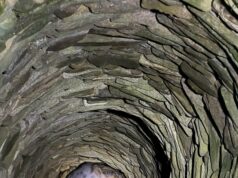 Otrovala pse pa ih bacila u bunar. Policija podnosi prijavu protiv Aleksinčanke Otrovani psi bačeni u bunar