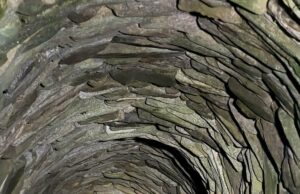 Otrovala pse pa ih bacila u bunar. Policija podnosi prijavu protiv Aleksinčanke Otrovani psi bačeni u bunar