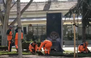 Postavljena nova tepih-trava na Trgu republike Postavljena nova tepih-trava na Trgu republike