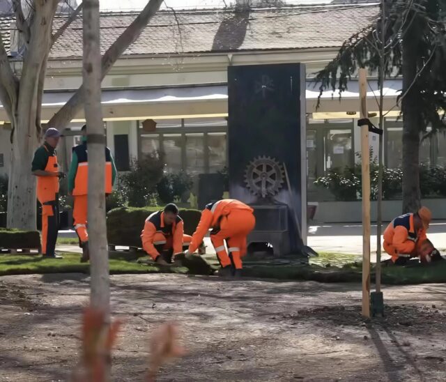 Postavljena nova tepih-trava na Trgu republike