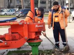 Specijalnom mašinom uklonjeni panjevi na više lokacija u gradu, priprema za sadnju novih stabala Uklanjanje panjeva