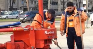 Specijalnom mašinom uklonjeni panjevi na više lokacija u gradu, priprema za sadnju novih stabala Uklanjanje panjeva