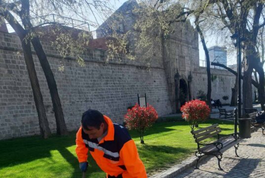Radovi na održavanju javnih površina i zelenila u gradu JKP Mediana Niš
