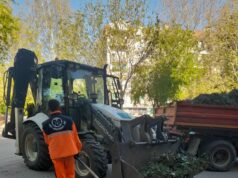 Uređenje grada: Nastavljeni radovi na održavanju zelenih površina i higijene