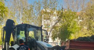 Uređenje grada: Nastavljeni radovi na održavanju zelenih površina i higijene