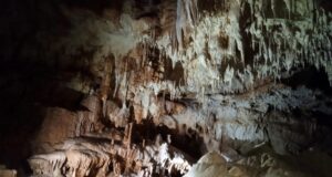 Skriveni dragulj nadomak Niša: Cerjanska pećina otkriva podzemni svet star više od dva miliona godina Cerijanska pećina