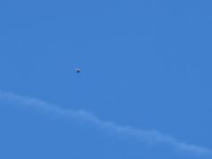 Nebo nad Donjim Međurovom ponovo krase bele rode Let bele Rode iznad Donjeg Međurova