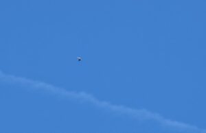 Nebo nad Donjim Međurovom ponovo krase bele rode Let bele Rode iznad Donjeg Međurova