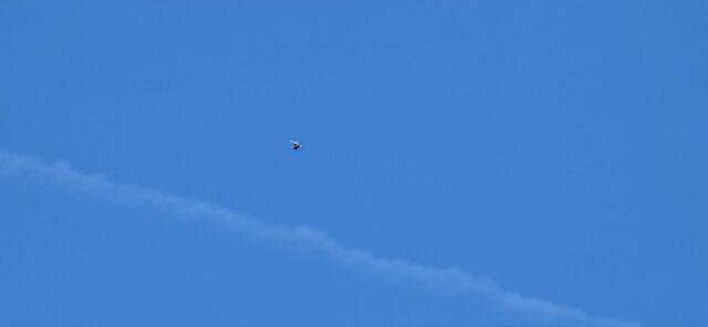 Let bele Rode iznad Donjeg Međurova