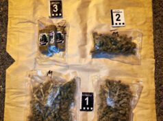 Mladić iz Aleksinca uhapšen na auto-putu sa gotovo kilogramom hašiša i marihuane Marihuana