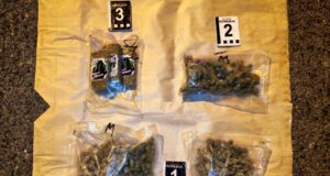 Mladić iz Aleksinca uhapšen na auto-putu sa gotovo kilogramom hašiša i marihuane Marihuana