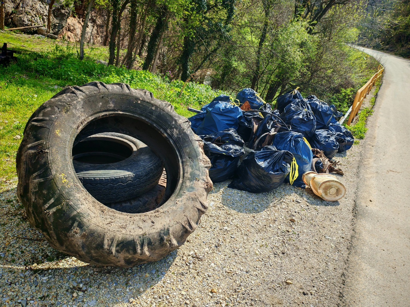 Niški planinari u velikoj akciji čišćenja Suve planine
