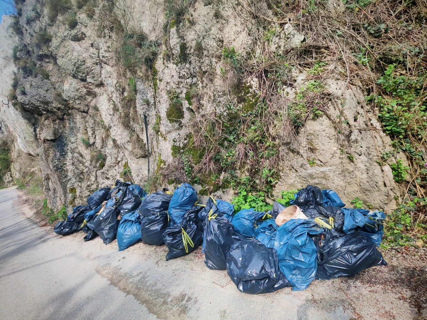 Niški planinari u velikoj akciji čišćenja Suve planine