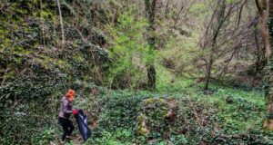 Niški planinari u velikoj akciji čišćenja Suve planine – 80 učesnika sakupilo 270 džakova smeća Niški planinari u velikoj akciji čišćenja Suve planine